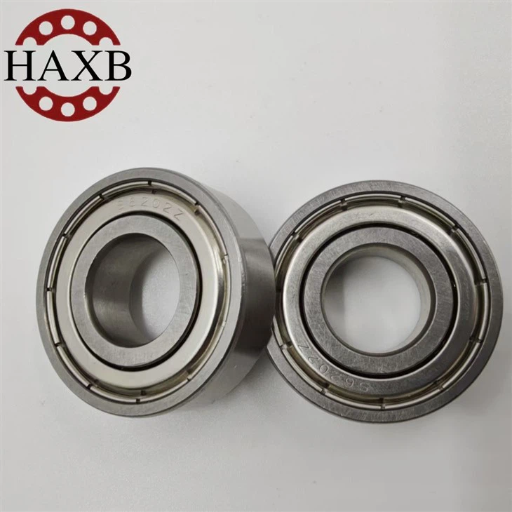 The Stainless Steel Bearing 6202zz best